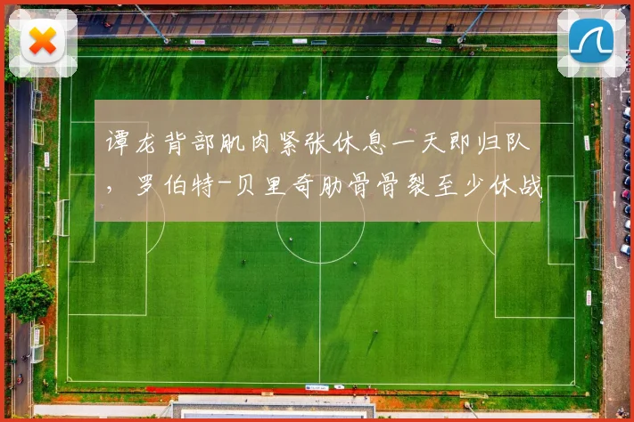 谭龙背部肌肉紧张休息一天即归队，罗伯特-贝里奇肋骨骨裂至少休战三周，亚泰锋线新老外援伤情冰火两重天