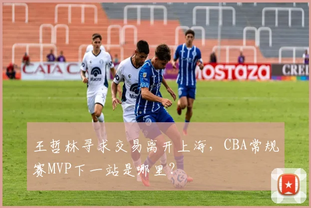 王哲林寻求交易离开上海，CBA常规赛MVP下一站是哪里？